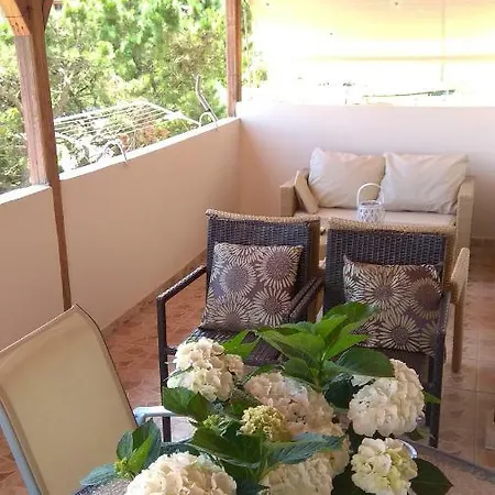 Otel Koala Apartments- Irida, Elea