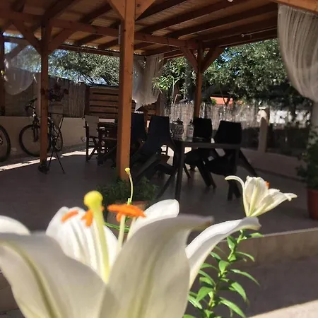 Koala Apartments- Irida, Elea *